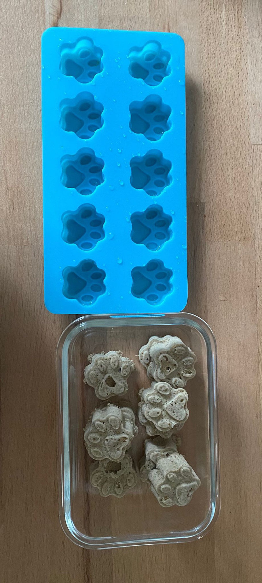 L'ALLECHANTE - Saumon